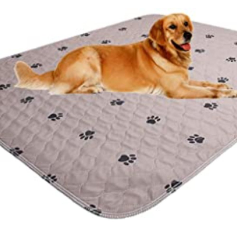 Pet Anti-Slip Mat